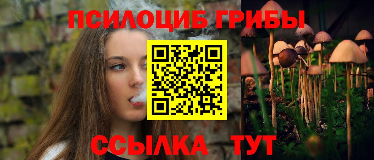 Галлюциногенные грибы GOLDEN TEACHER  Вход с VPN  Малгобек 